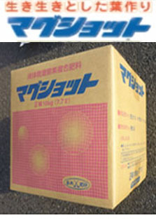 マグショット
